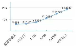 網絡工程 前景廣闊，轉行可期的職業(yè)之路